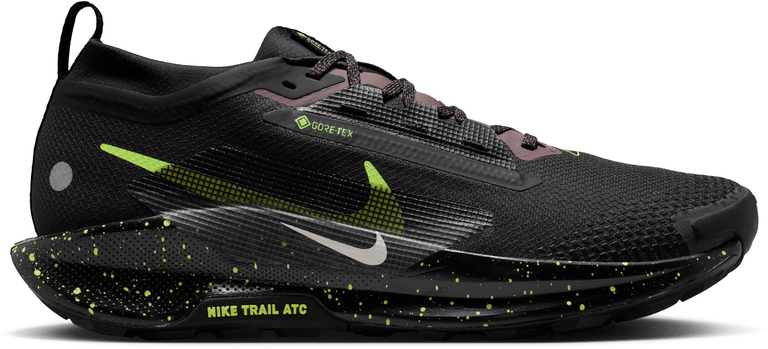 Nike Laufschuhe Pegasus Trail 5 GORE-TEX Schwarz
