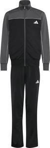 adidas CP TR Trainingsanzug Kinder - gresix-black-white