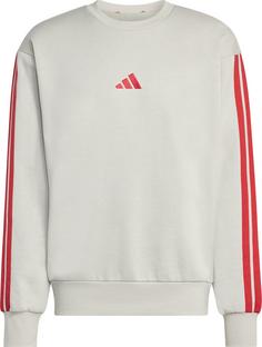 adidas 3S Sweatshirt Herren wonalu-purrub