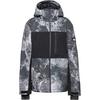 Quiksilver SYCAMORE Skijacke Herren - thermostamp grayscale