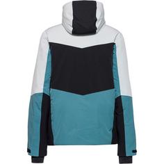 Rückansicht von McKinley Felias Skijacke Herren grey light-blue smok