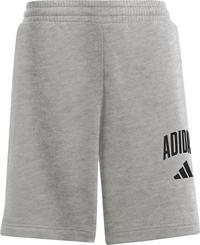 adidas Shorts Jungen - mgreyh