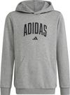 adidas Hoodie Jungen - mgreyh
