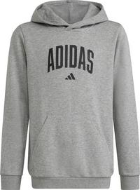 adidas Hoodie Jungen - mgreyh