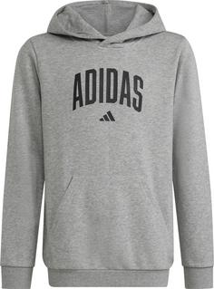 adidas Hoodie Kinder mgreyh