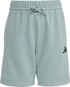 adidas Shorts Kinder tactile green