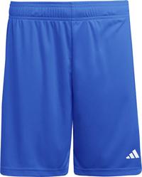 adidas ENT26 SHO Fu&szlig;ballshorts Herren - royblu-white