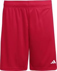 adidas ENT26 SHO Fu&szlig;ballshorts Herren - tepore-white