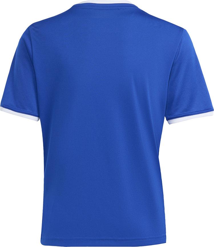 adidas adidas ENT26 JSY Y Funktionsshirt Kinder - royblu-white - 0 | SportScheck