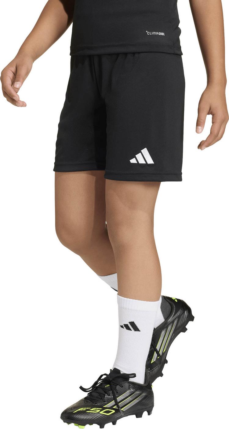 adidas adidas ENT26 SHO Y Fu&szlig;ballshorts Kinder - black-white - 0 | SportScheck