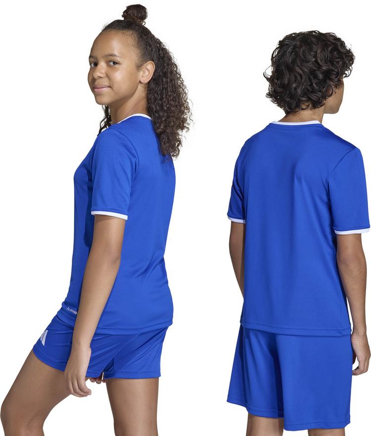 adidas adidas ENT26 JSY Y Funktionsshirt Kinder - royblu-white - 1 | SportScheck