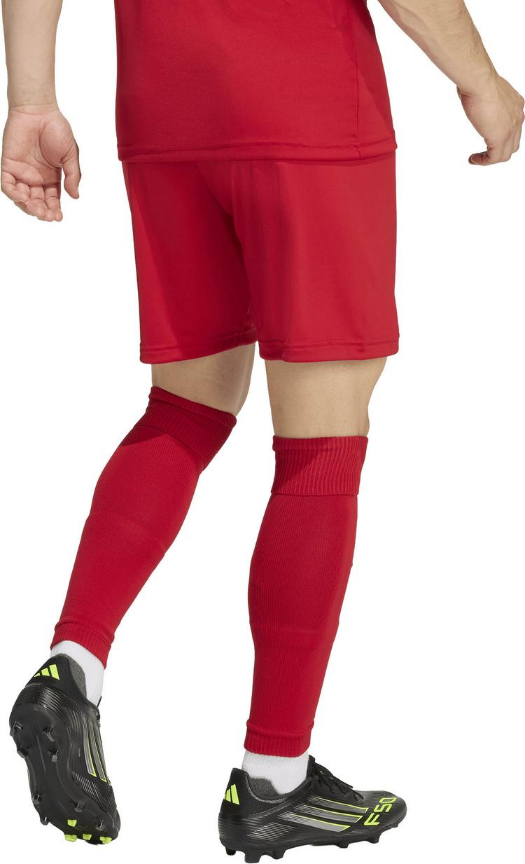 adidas adidas ENT26 SHO Fu&szlig;ballshorts Herren - tepore-white - 1 | SportScheck