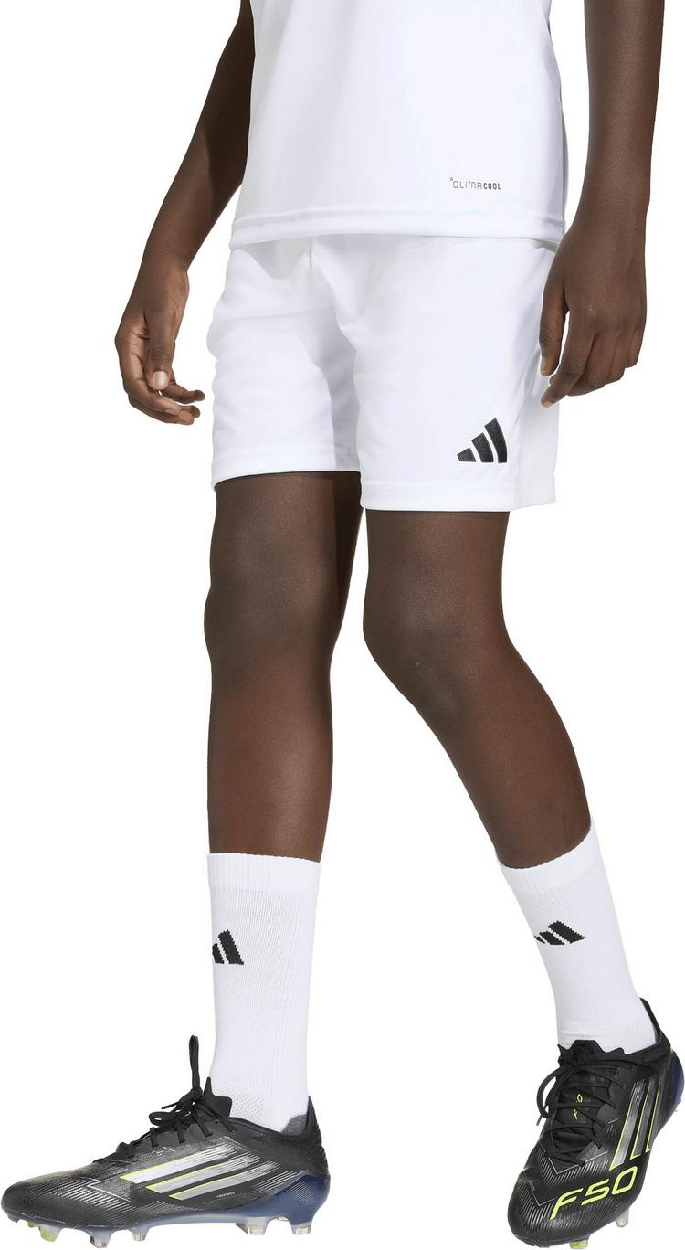 adidas adidas ENT26 SHO Y Fu&szlig;ballshorts Kinder - white-black - 2 | SportScheck