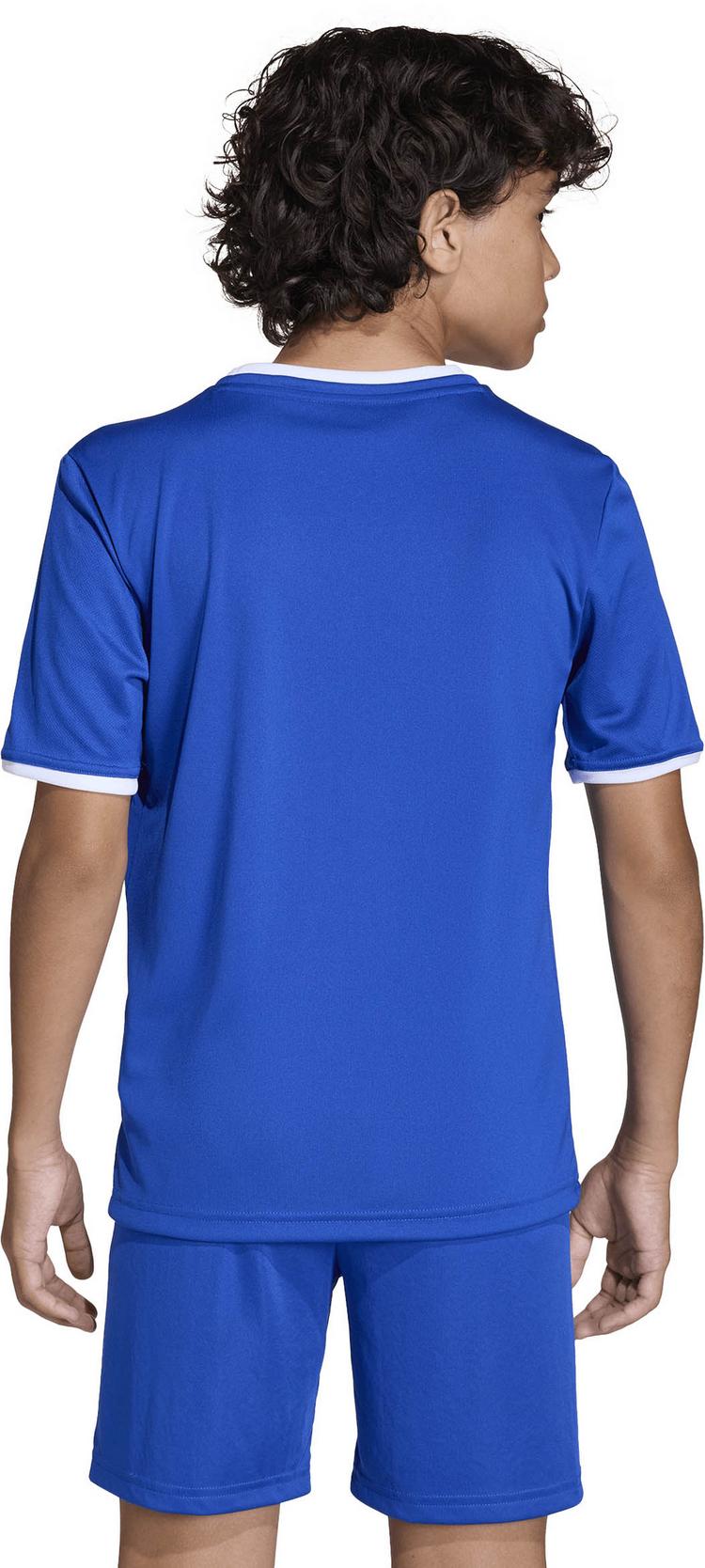 adidas adidas ENT26 JSY Y Funktionsshirt Kinder - royblu-white - 3 | SportScheck