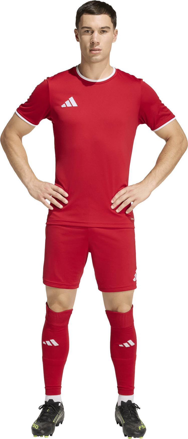 adidas adidas ENT26 SHO Fu&szlig;ballshorts Herren - tepore-white - 3 | SportScheck