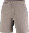 Salomon WAYFARER 2.0 Funktionsshorts Damen - iron