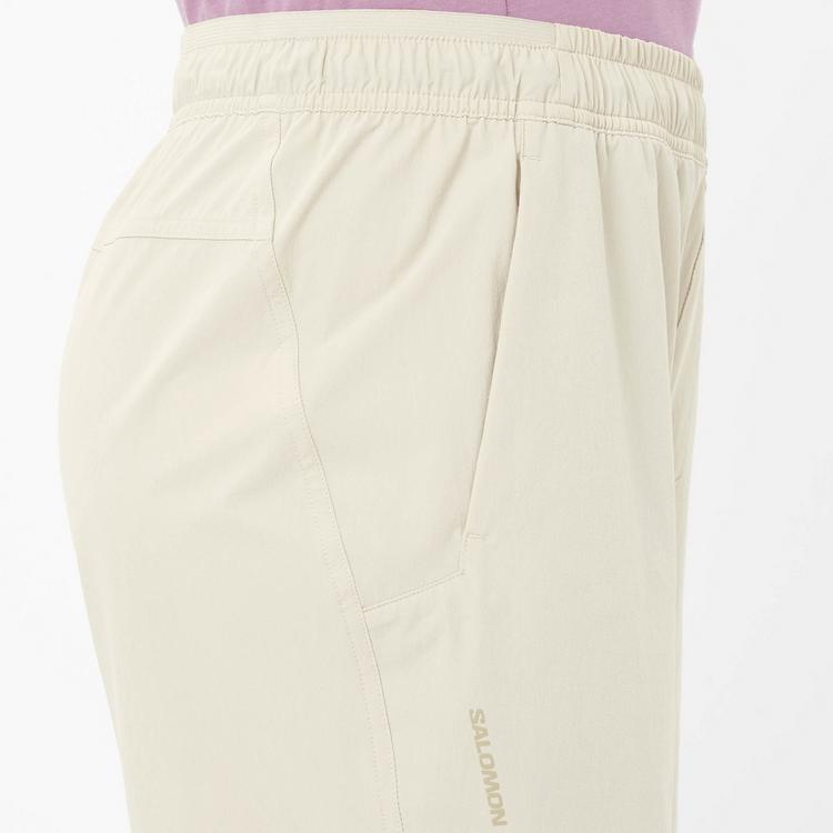 Salomon Salomon WAYFARER EASE 2.0 Funktionsshorts Damen - silver cloud - 2 | SportScheck