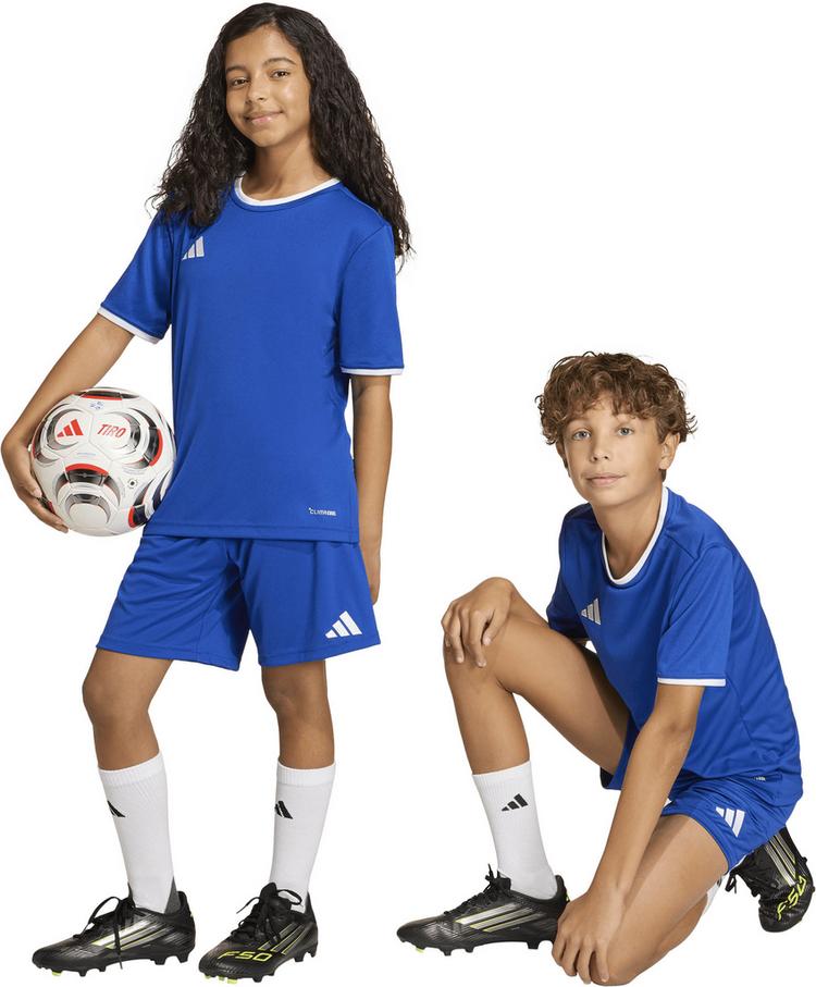 adidas adidas ENT26 SHO Y Fu&szlig;ballshorts Kinder - royblu-white - 0 | SportScheck