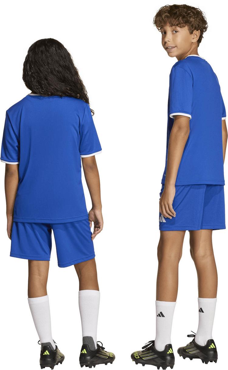 adidas adidas ENT26 SHO Y Fu&szlig;ballshorts Kinder - royblu-white - 1 | SportScheck