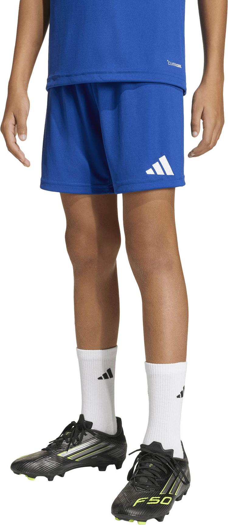 adidas adidas ENT26 SHO Y Fu&szlig;ballshorts Kinder - royblu-white - 2 | SportScheck