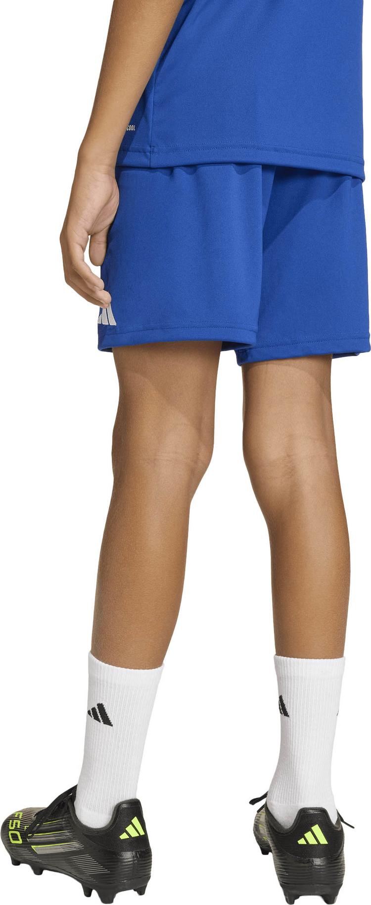 adidas adidas ENT26 SHO Y Fu&szlig;ballshorts Kinder - royblu-white - 3 | SportScheck