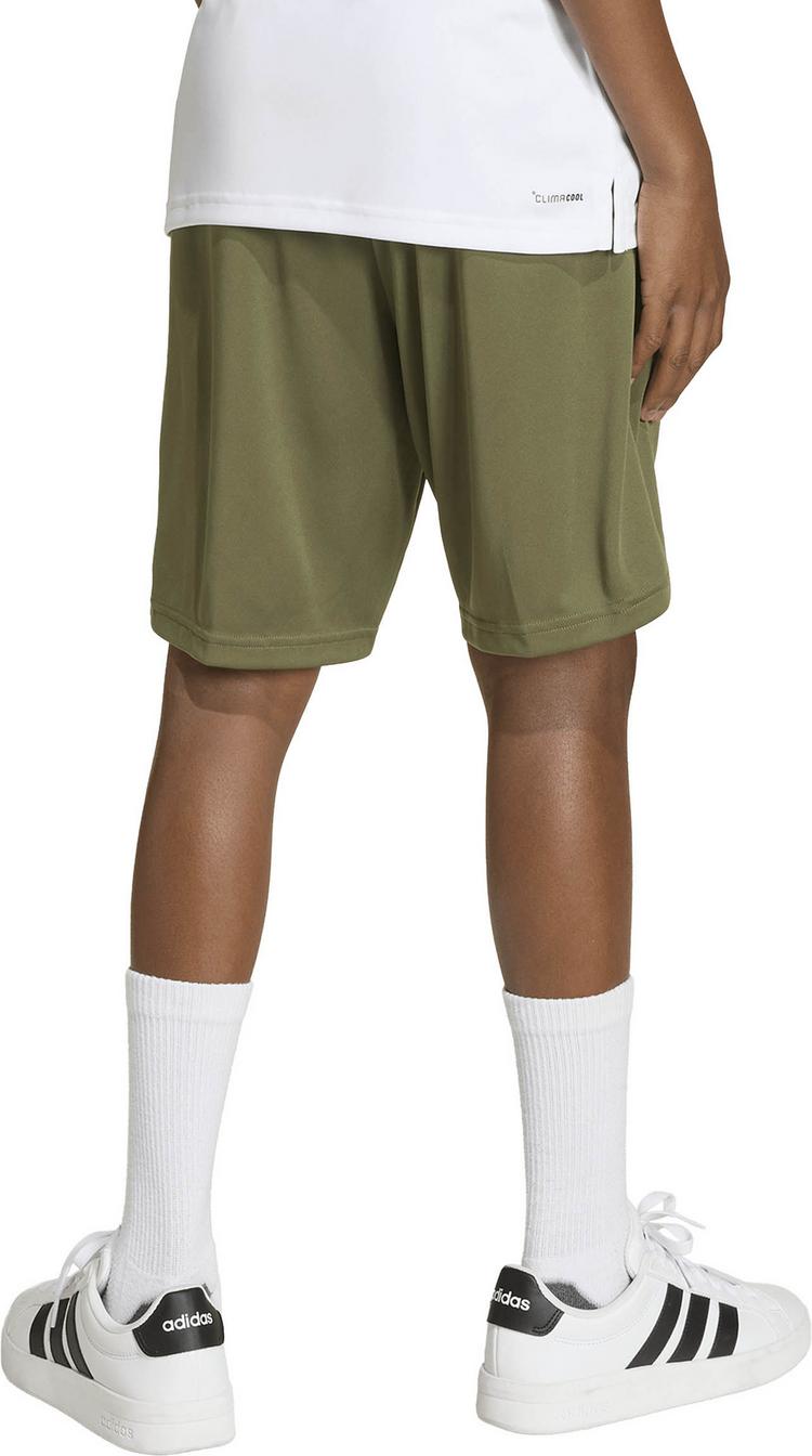 adidas adidas TR-ES Sweatshorts Kinder - olive strata-white - 3 | SportScheck