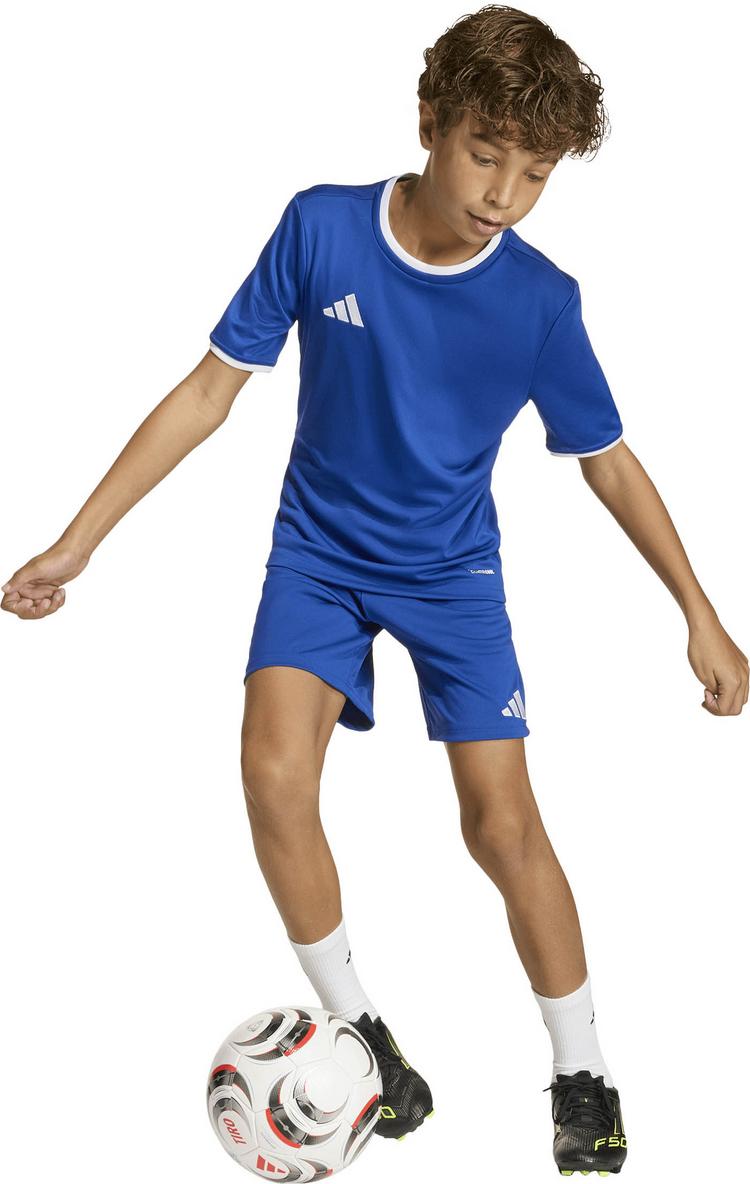 adidas adidas ENT26 SHO Y Fu&szlig;ballshorts Kinder - royblu-white - 4 | SportScheck