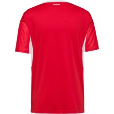 Rückansicht von PUMA Schweiz SFV Home Fußballtrikot Herren puma red-puma white