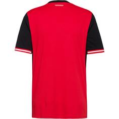 Rückansicht von PUMA Österreich ÖFB Home Fußballtrikot Herren puma red-puma black