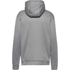 Rückansicht von adidas Hoodie Herren grey