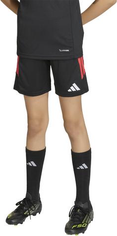 Rückansicht von adidas TIRO26L TRSHOY Fu&szlig;ballshorts Kinder black-selure