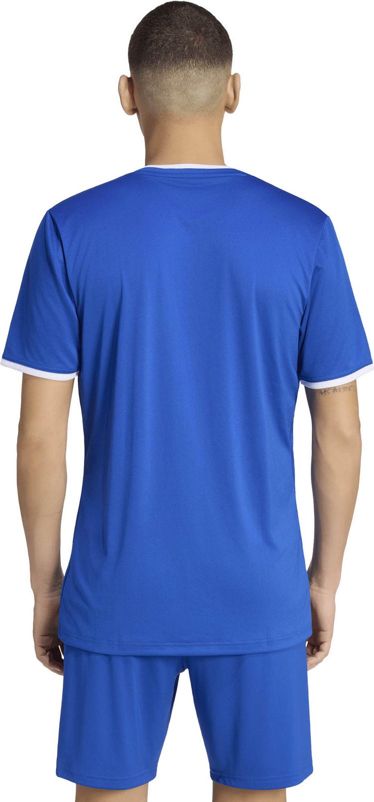 adidas adidas ENT26 JSY Funktionsshirt Herren - royblu-white - 1 | SportScheck