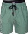 Arena ELASTIC BAND BEACH Badehose Herren - sage