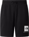 The North Face BOX NSE LIGHT Shorts Herren - tnf black
