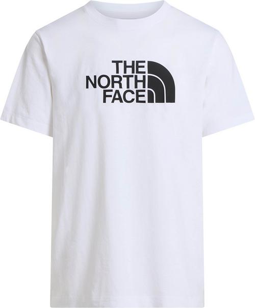The North Face EVOLUTION HALF DOME T-Shirt Herren