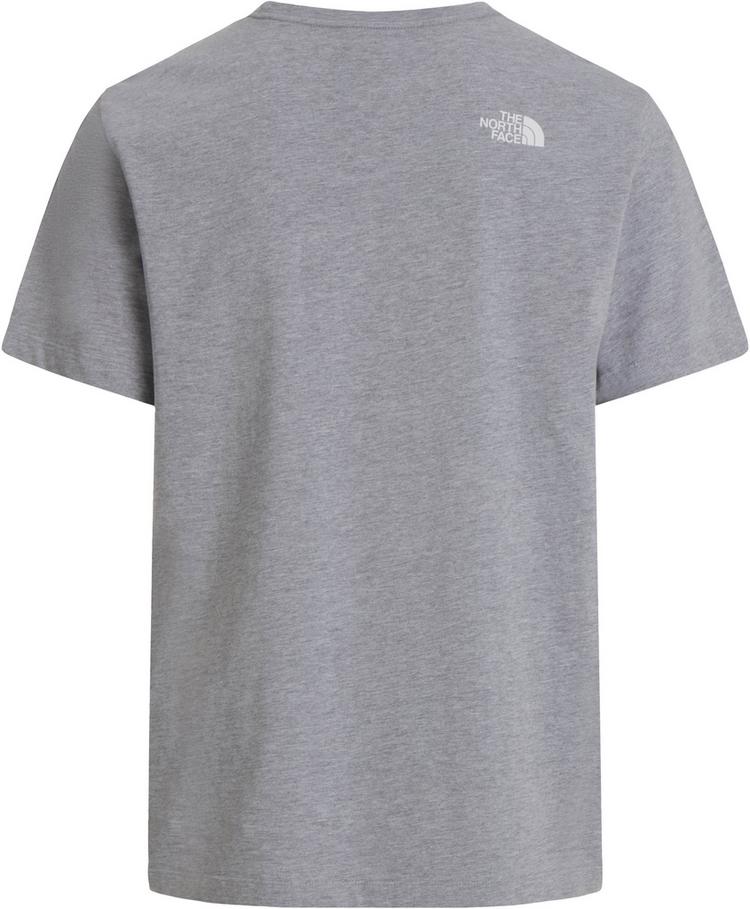 The North Face The North Face EVOLUTION HALF DOME T-Shirt Herren - tnf pale grey heather-t - 0 | SportScheck
