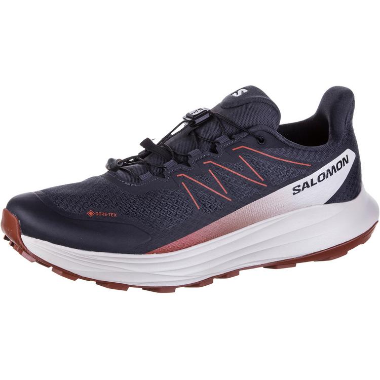 Salomon Salomon ALPHARIDE 2 GTX Laufschuhe Herren - asphalt-arabianspice-rainyday - 0 | SportScheck