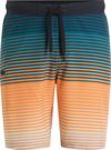 FIREFLY OTTO II M SHADE STRIPE Badehose Herren - green dark