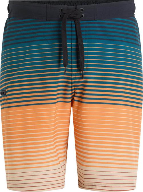 FIREFLY OTTO II M SHADE STRIPE Badehose Herren