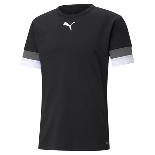 PUMA teamRISE Funktionsshirt Herren