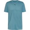 PUMA Tad Essentials Heather Cat Funktionsshirt Herren - baltic sea blue heather