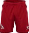 hummel 1. FC K&ouml;ln 25-26 TR Fu&szlig;ballshorts - chili pepper