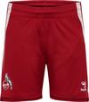hummel 1. FC K&ouml;ln 25-26 TR Fu&szlig;ballshorts - chili pepper