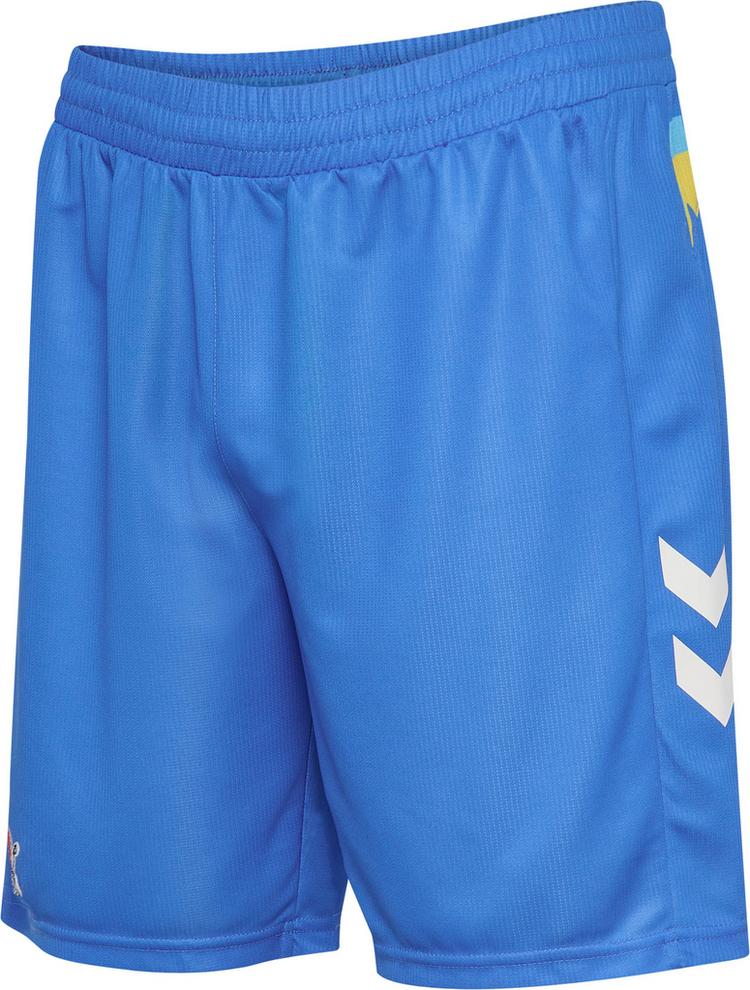 hummel hummel 1. FC K&ouml;ln 25-26 SPEC GK Fu&szlig;ballshorts - super sonic - 0 | SportScheck