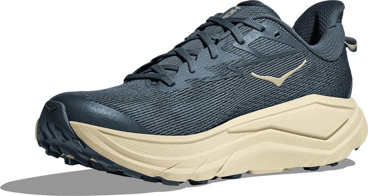 HOKA HOKA CHALLENGER 8 Laufschuhe Herren - faded navy-pampass grass - 4 | SportScheck