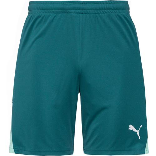 PUMA teamLIGA26 Fu&szlig;ballshorts Herren