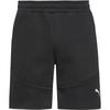 PUMA EVOSTRIPE Funktionsshorts Herren - puma black