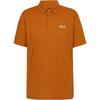 Jack Wolfskin DELGAMI Poloshirt Herren - autumn leaves