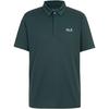 Jack Wolfskin DELGAMI Poloshirt Herren - sago palm