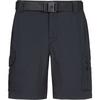 Columbia Silver Ridge Cargoshorts Herren - black